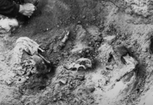 Confirman identidad  de víctimas exhumadas de la Caravana de la Muerte en La Serena