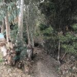 canal huintil seco