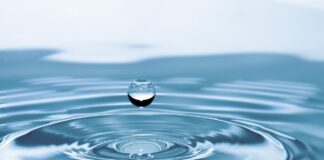 La importancia del comité técnico científico del agua en esta crisis hídrica