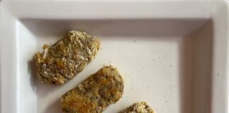 Avanza proyecto que busca desarrollar nuevos alimentos de origen marino