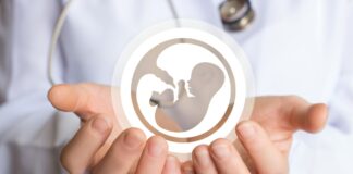 A 42 años de la primera bebé nacida en laboratorio, y cómo miles de padres han cumplido su sueño