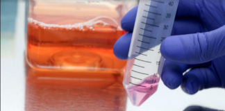 Científicos chilenos ayudan a obtener diagnósticos más certeros contra el cáncer biiar