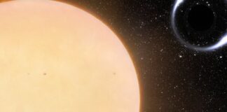 Astrónomos descubren agujero negro cerca de la Tierra