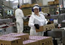 Región de Coquimbo registra nuevo aumento del empleo y reducción de la desocupación en el trimestre julio–septiembre 2025