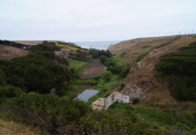 A 50 años de la primera excavación en Quereo: Los Vilos celebra su patrimonio con el seminario “Quereo Soñado”.