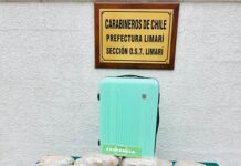 Control carretero en Los Vilos frustra envío de droga rumbo a la zona central