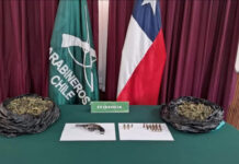 Detienen a sujeto con municiones, arma de fuego y marihuana tras denuncia por disparos en Illapel