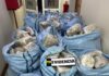 PDI desarticula red internacional de narcotráfico que operaba entre Bolivia y Santiago