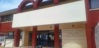 Justicia obliga al Hospital de Los Vilos a reincorporar a funcionaria removida de jefatura