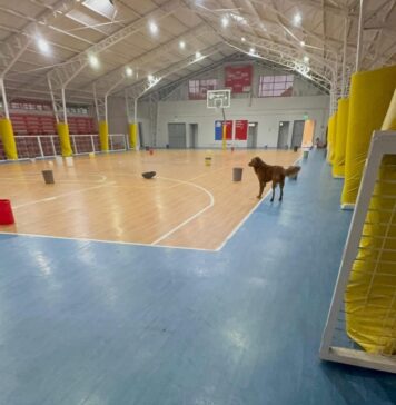 Deportistas denuncian abandono del techado municipal de Los Vilos y cuestionan prioridades del Royalty Minero