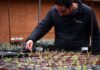 Lo que vive oculto bajo el desierto: investigación inédita busca proteger especies invisibles y preservar el futuro del desierto florido
