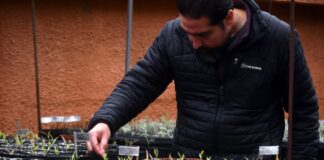 Lo que vive oculto bajo el desierto: investigación inédita busca proteger especies invisibles y preservar el futuro del desierto florido