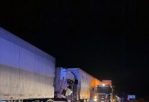 Colisión múltiple de camiones en Ruta 5 Norte, Los Vilos: emergencia en desarrollo