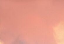 Brigadas y apoyo aéreo combaten incendio forestal en el fundo El Mollar de Los Vilos