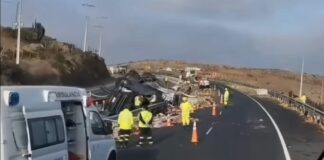 Trágico accidente en Ruta 5 Norte deja una víctima fatal en Canela