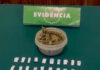 Detienen en Illapel a sujeto con droga y amplio prontuario durante fiscalización policial
