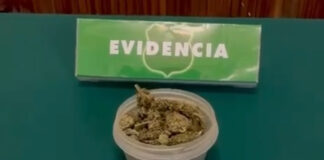 Detienen en Illapel a sujeto con droga y amplio prontuario durante fiscalización policial