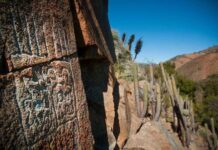Petroglifos refuerzan el valor patrimonial del Valle de Quilimarí en Los Vilos