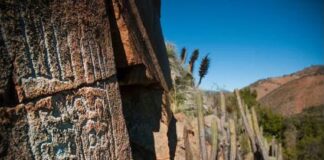 Petroglifos refuerzan el valor patrimonial del Valle de Quilimarí en Los Vilos