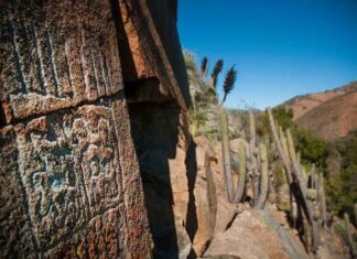 Petroglifos refuerzan el valor patrimonial del Valle de Quilimarí en Los Vilos