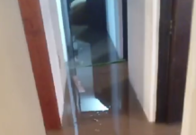 “Mi padre lo perdió todo”: Dramático llamado de periodista ovallino tras inundación de aguas servidas en vivienda de adulto mayor