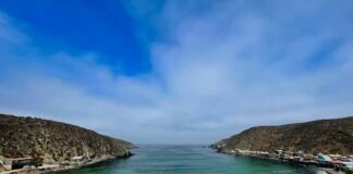 Caleta Puerto Oscuro se prepara para celebrar la tradicional Fiesta de San Pedro con una jornada de fe, cultura y tradición