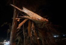 La despedida de un gigante de Los Vilos