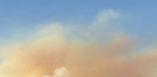 Incendio forestal en Los Vilos alcanza las 550 hectáreas y continúa en combate bajo Alerta Amarilla