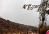 Aluvión afecta a familias de Infiernillo en Los Vilos: viviendas y vehículos quedaron bajo el barro