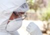 SAG confirma primer caso de influenza aviar altamente patógena en ave silvestre en la Región de Coquimbo