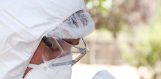 SAG confirma primer caso de influenza aviar altamente patógena en ave silvestre en la Región de Coquimbo