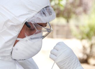 SAG confirma primer caso de influenza aviar altamente patógena en ave silvestre en la Región de Coquimbo
