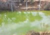 Alarma ambiental en Salamanca: vecinos de Chuchiñí denuncian presunto vertimiento de ácidos desde instalaciones de Minera Tres Valles