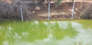 Alarma ambiental en Salamanca: vecinos de Chuchiñí denuncian presunto vertimiento de ácidos desde instalaciones de Minera Tres Valles