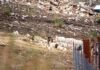 Crianceros de Illapel reportan graves pérdidas tras paso de sistema frontal