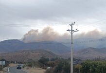 Incendio forestal afecta al sector Los Cóndores en el valle de Quilimarí mientras comienzan las primeras lluvias