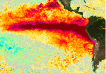 El Niño amenaza con convertirse en un fenómeno histórico: NOAA advierte una intensidad sin precedentes