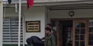 Los Vilos: Carabineros sorprende a delincuente robando especies desde un camión en la Ruta 5 Norte